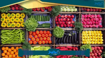 تعرف على أسعار الفاكهة اليوم بأسواق مطروح.. الكنتالوب يصل إلى 20 جنيها